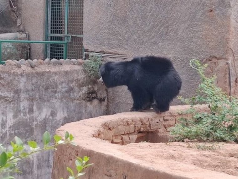 Gwalior Zoo-4